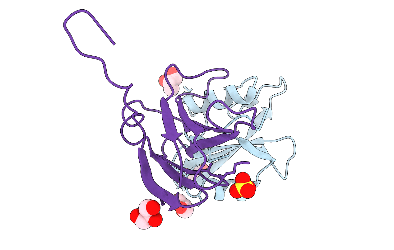 3T04 image