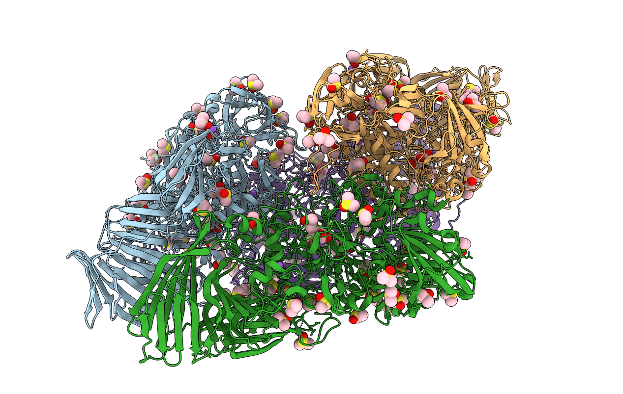 3T09 image