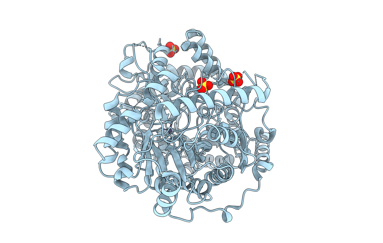 3T0C image
