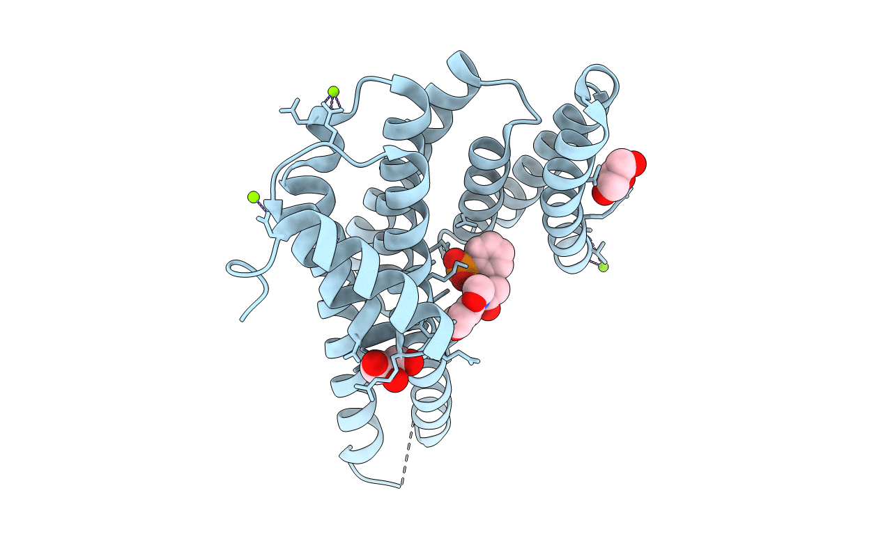 3T0M image
