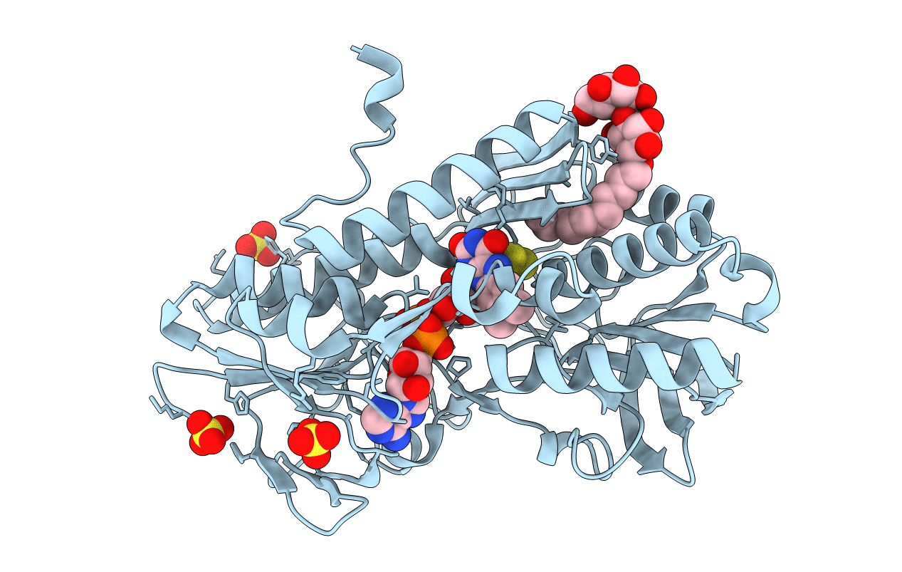 3T14 image