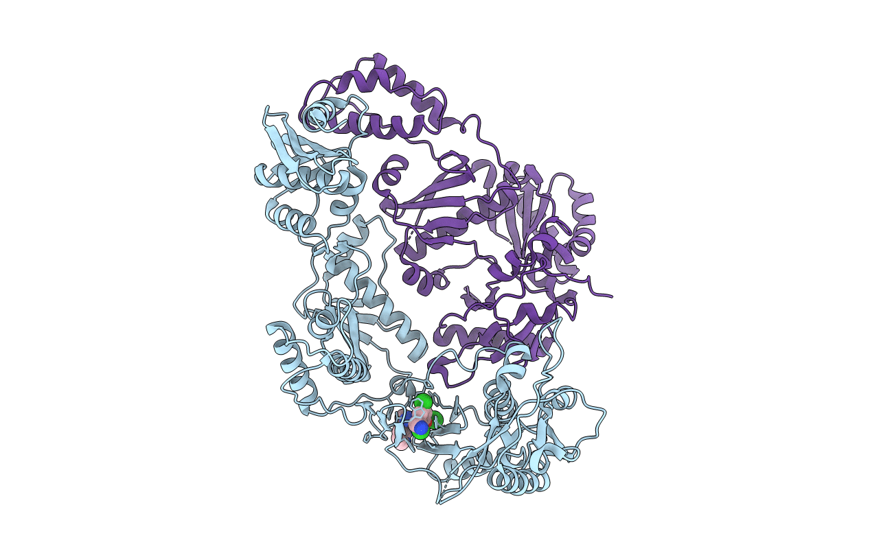 3T19 image