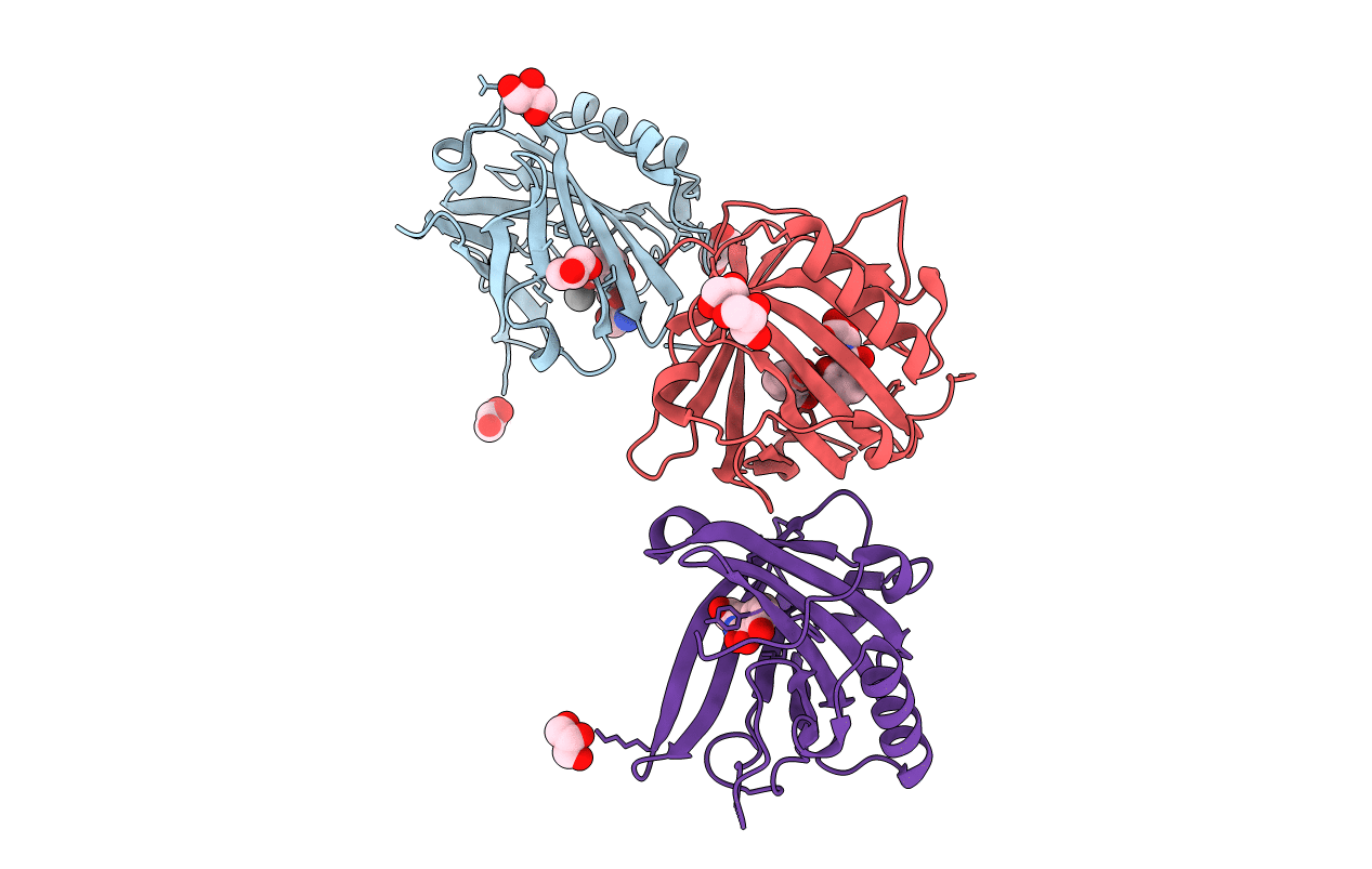 3T1D image