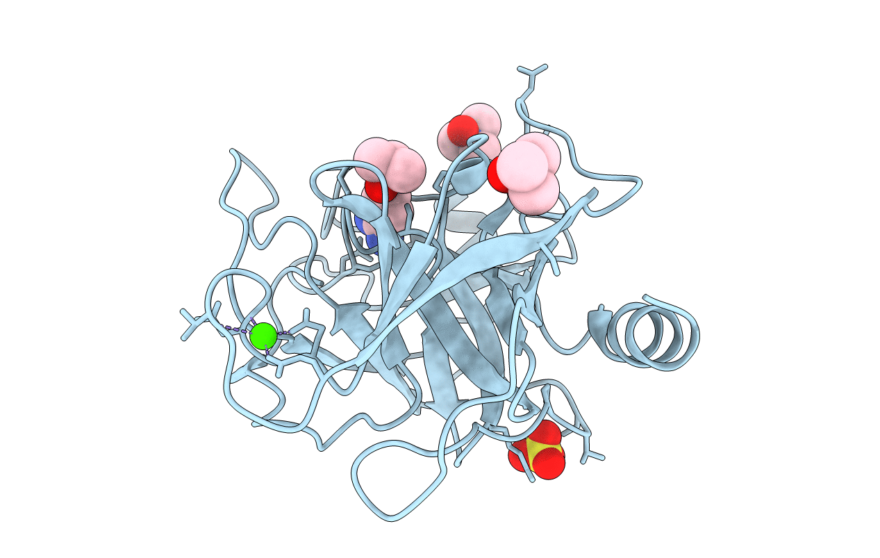 3T25 image