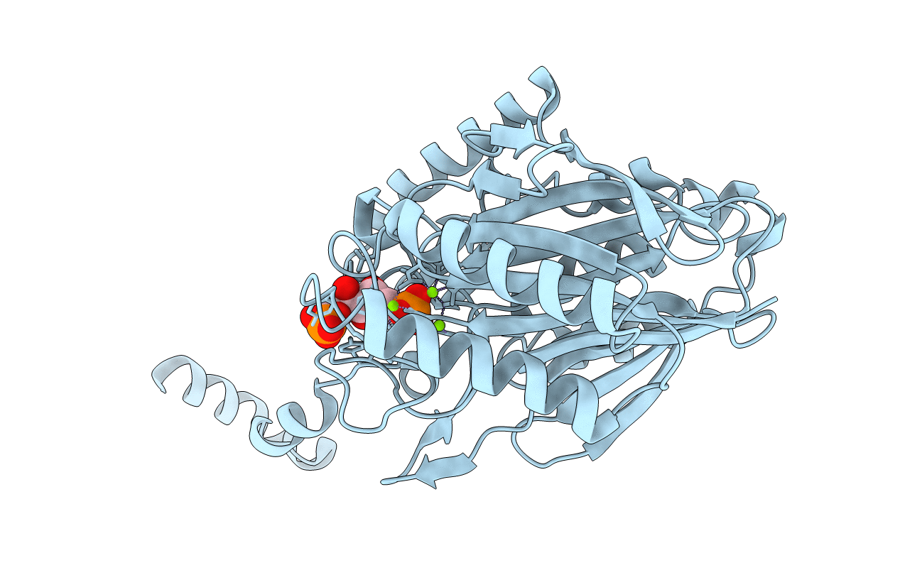 3T2D image