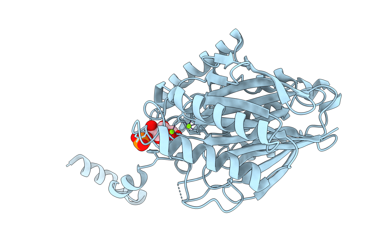 3T2E image