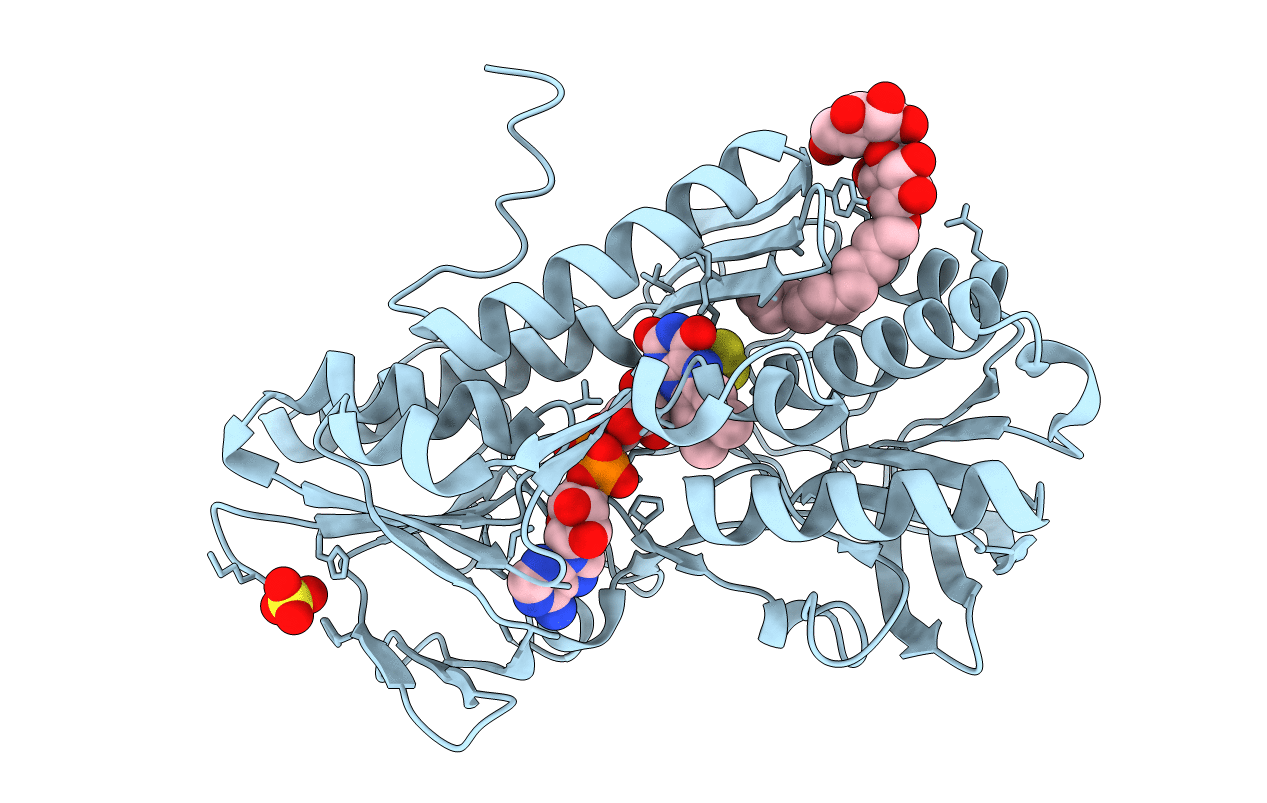 3T2K image