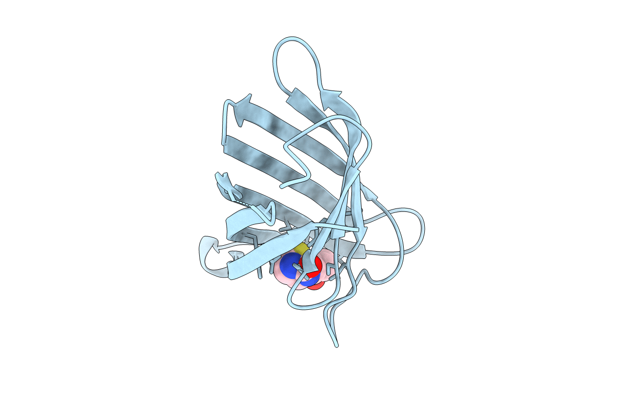 3T2W image