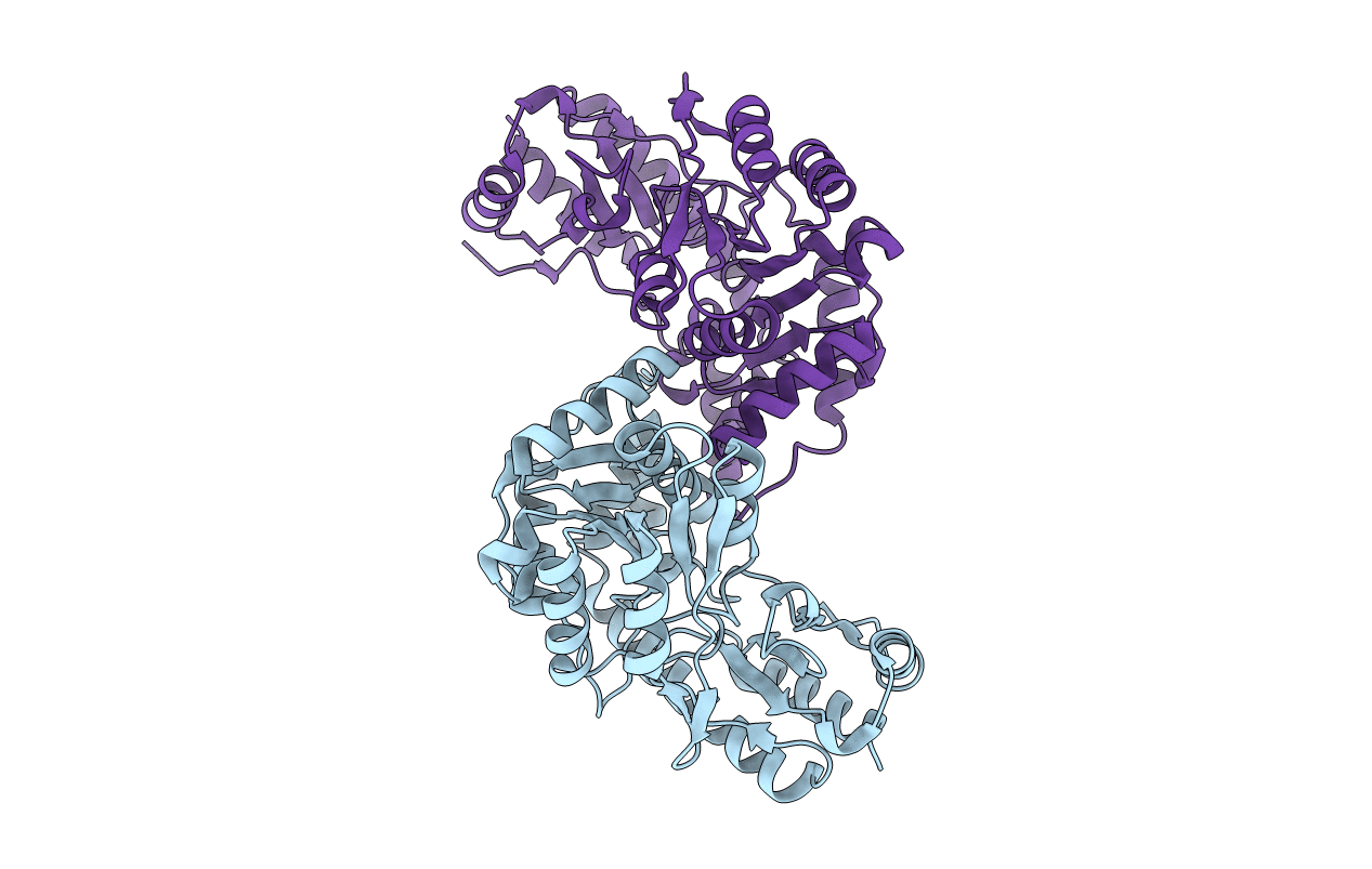 3T32 image