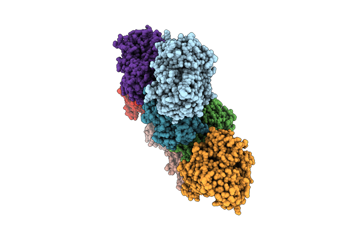 3T3S image