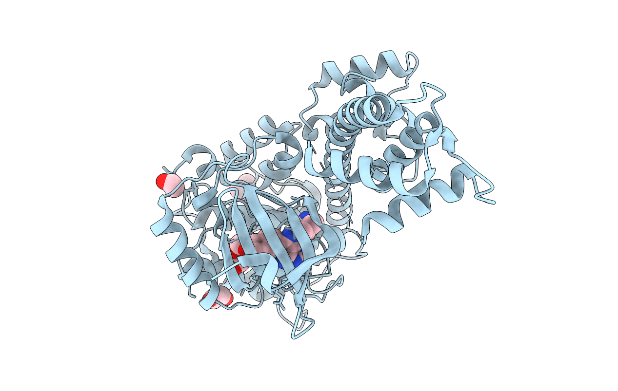 3T3U image