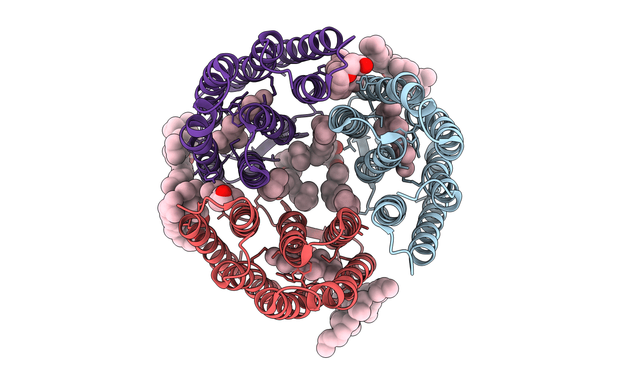 3T45 image