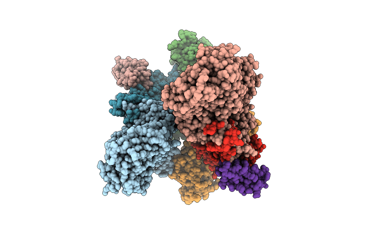 3T4A image