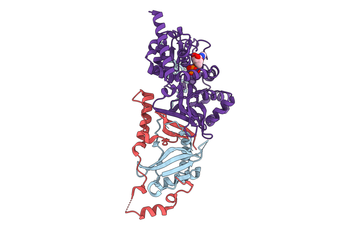 3T4N image
