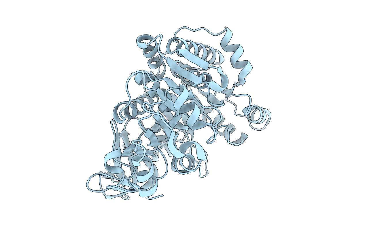 3T5B image