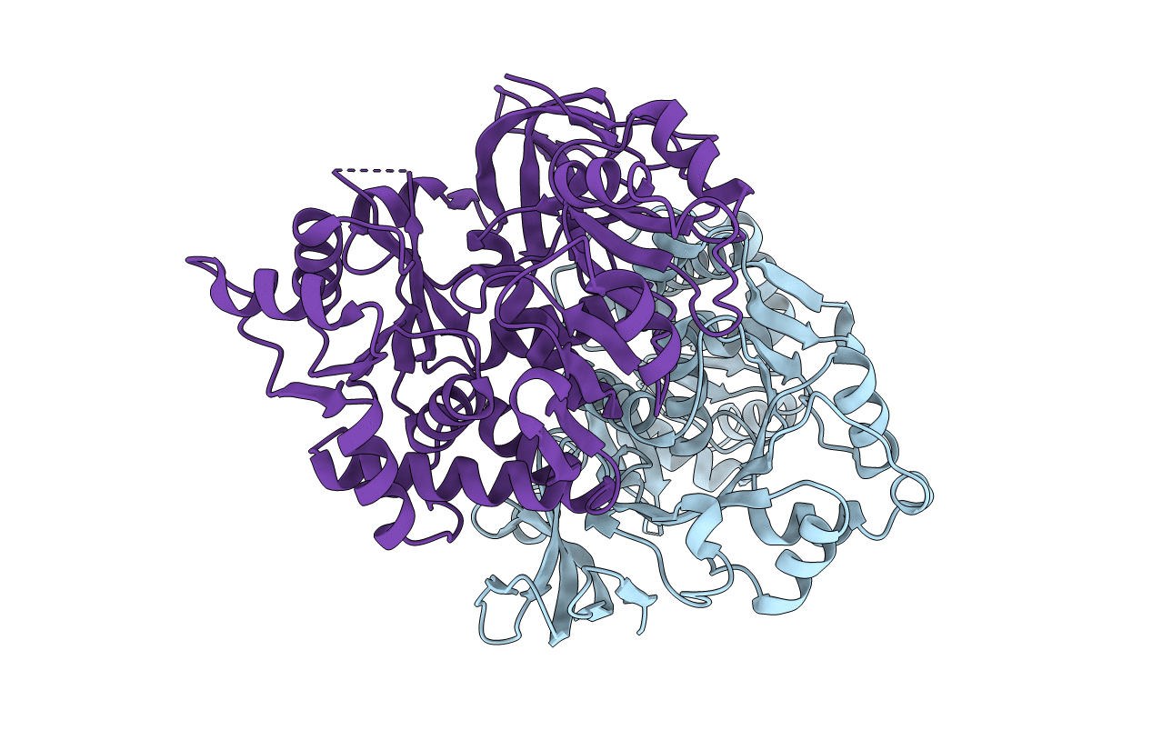 3T5C image