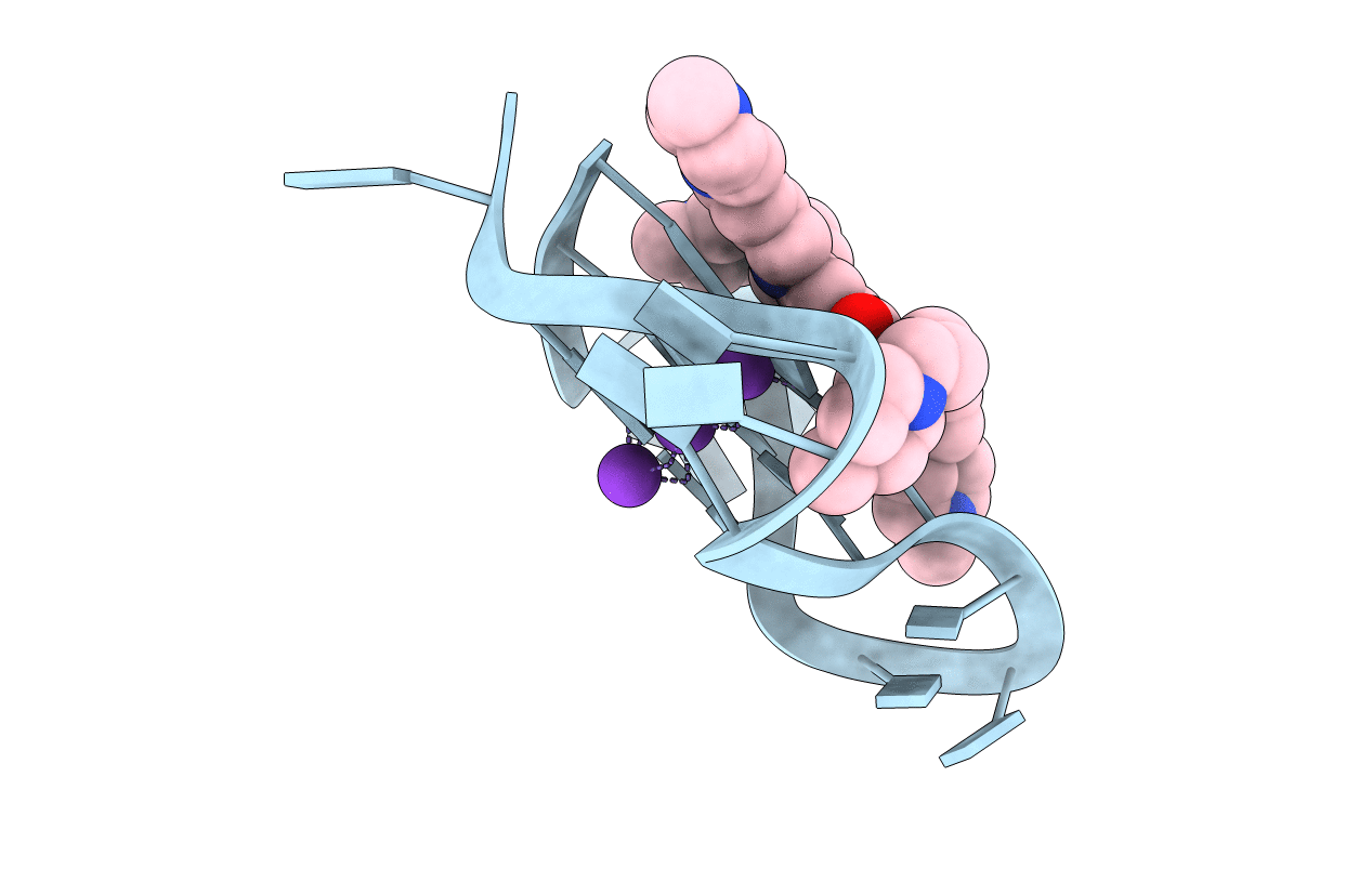 3T5E image
