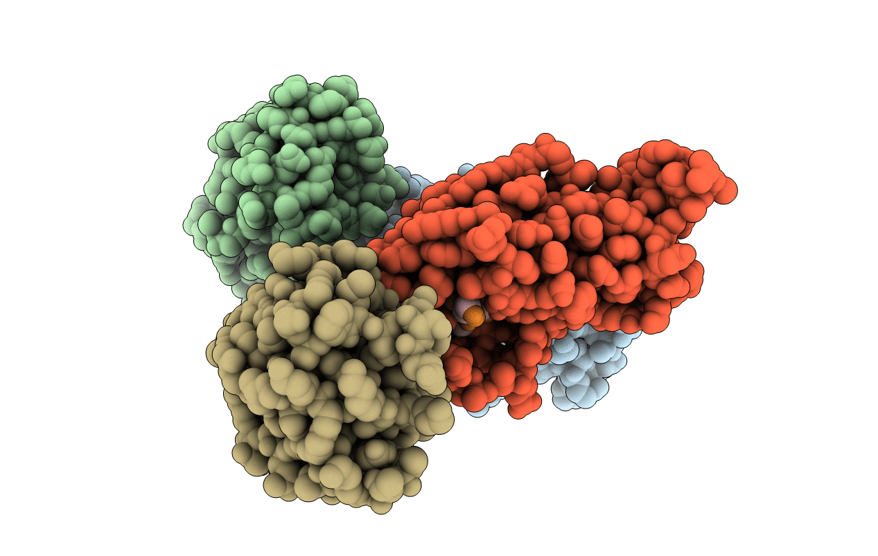 3T5I image