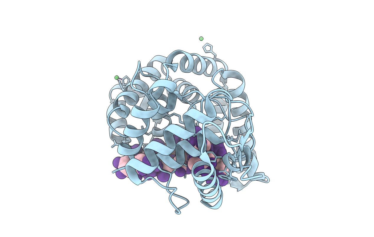 3T5N image