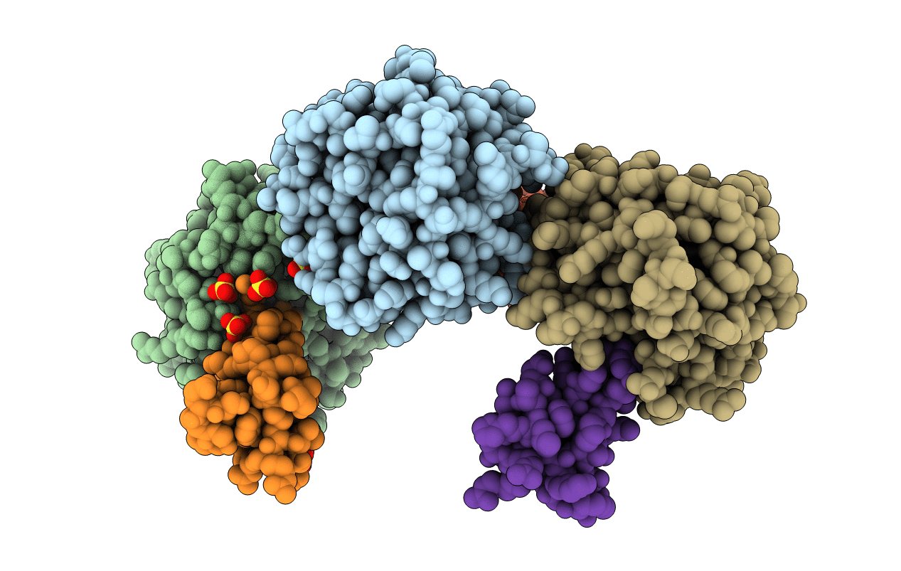 3T62 image