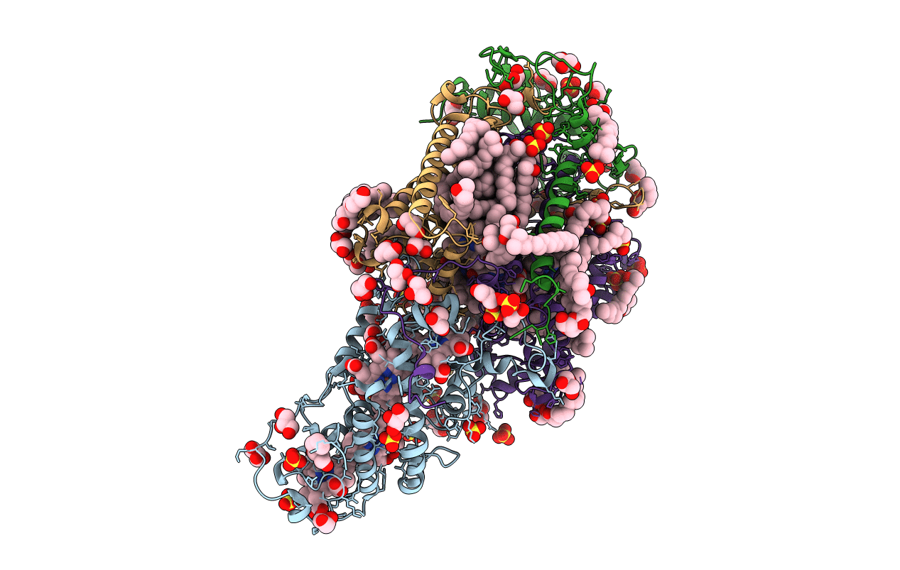 3T6E image