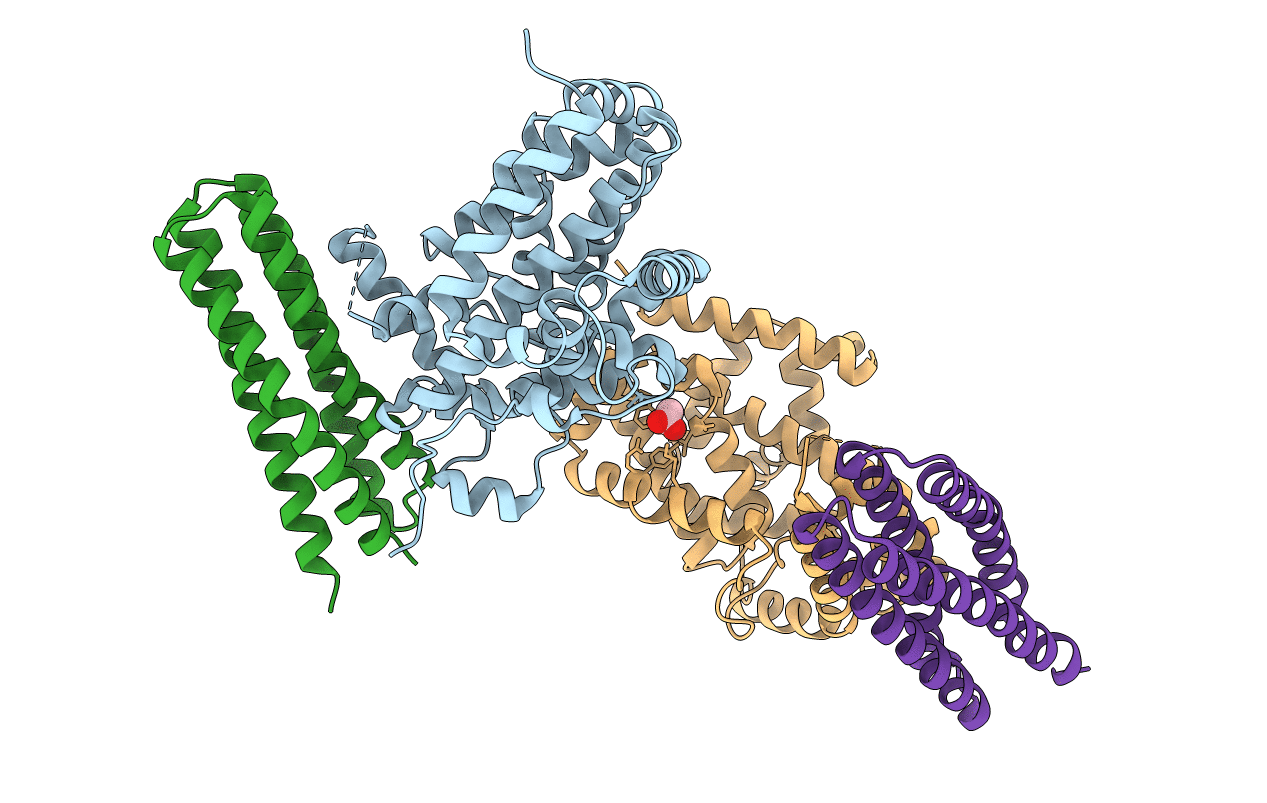 3T6G image