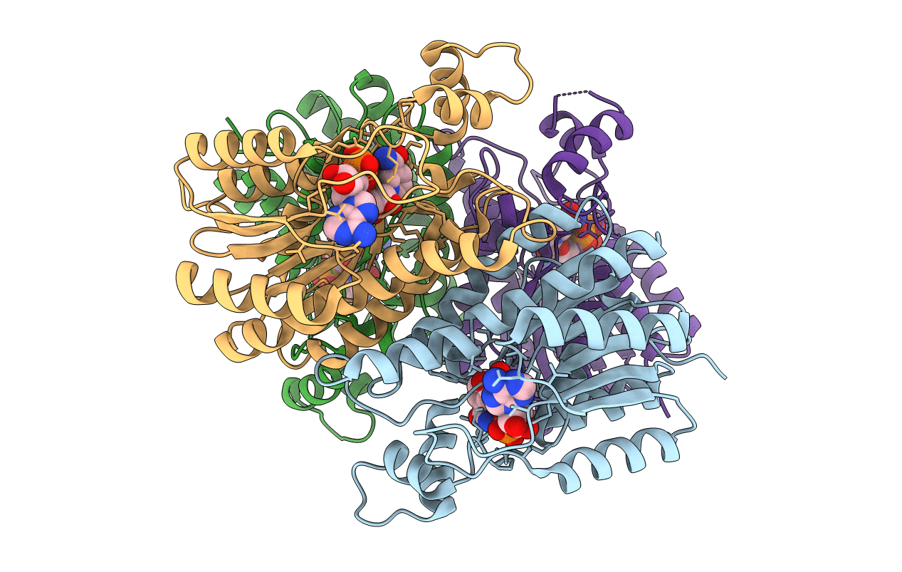 3T7C image