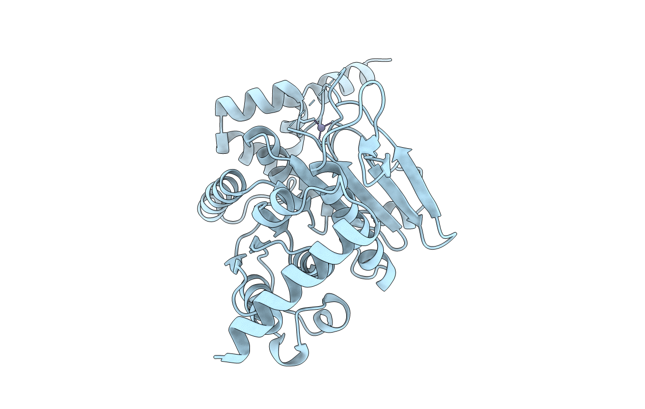 3T7E image