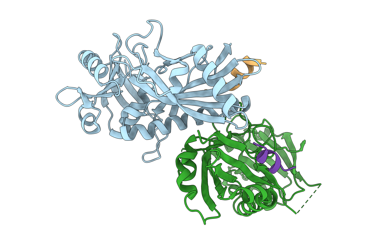 3T7G image