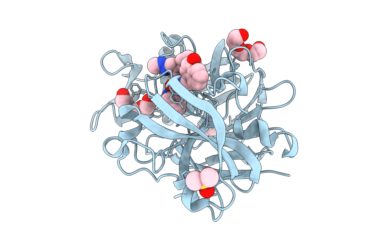 3T7P image