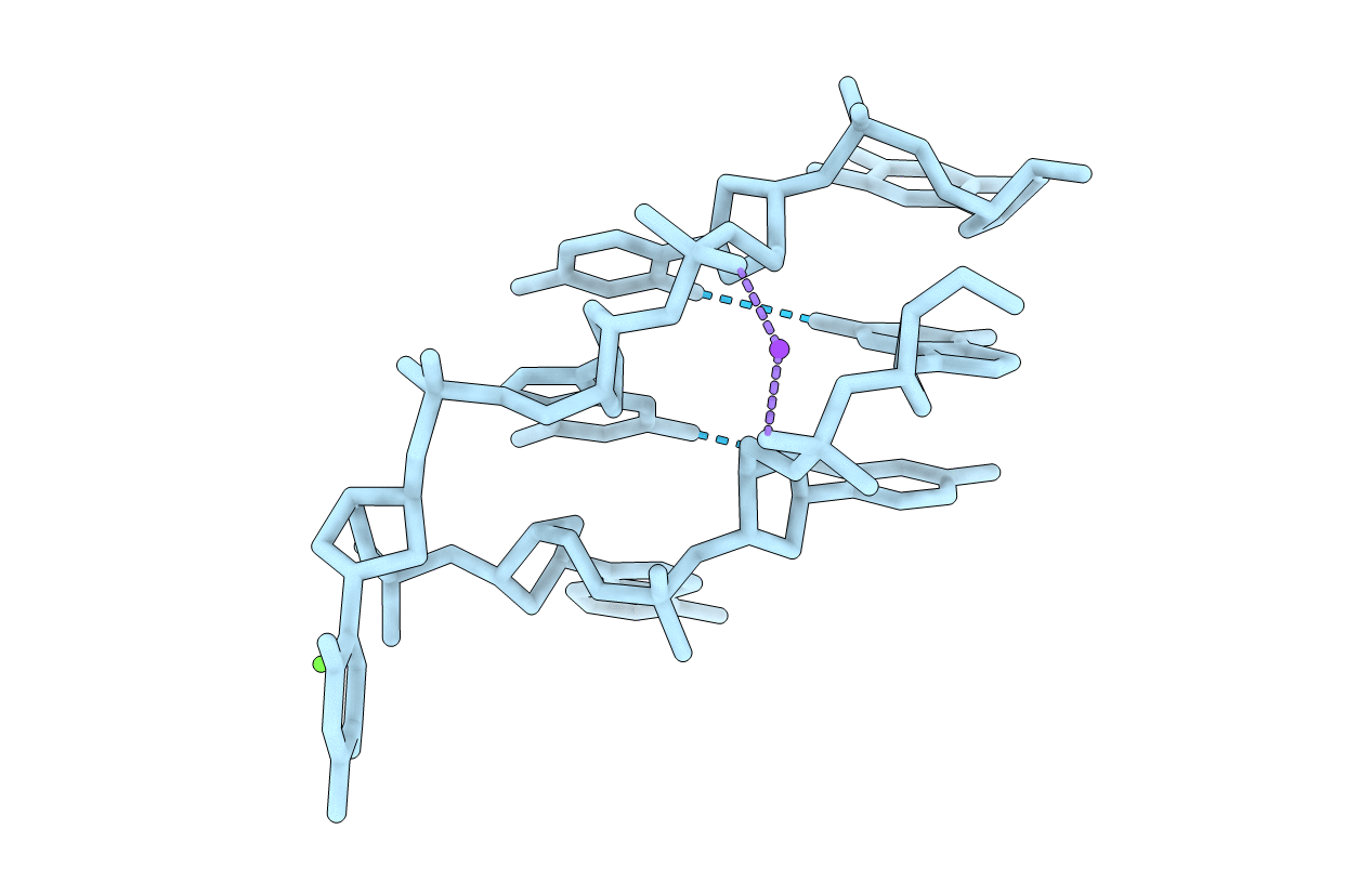 3T86 image