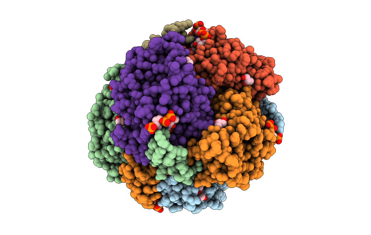3T88 image