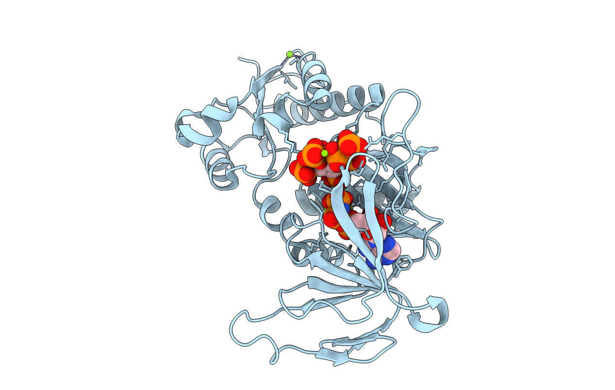 3T9D image