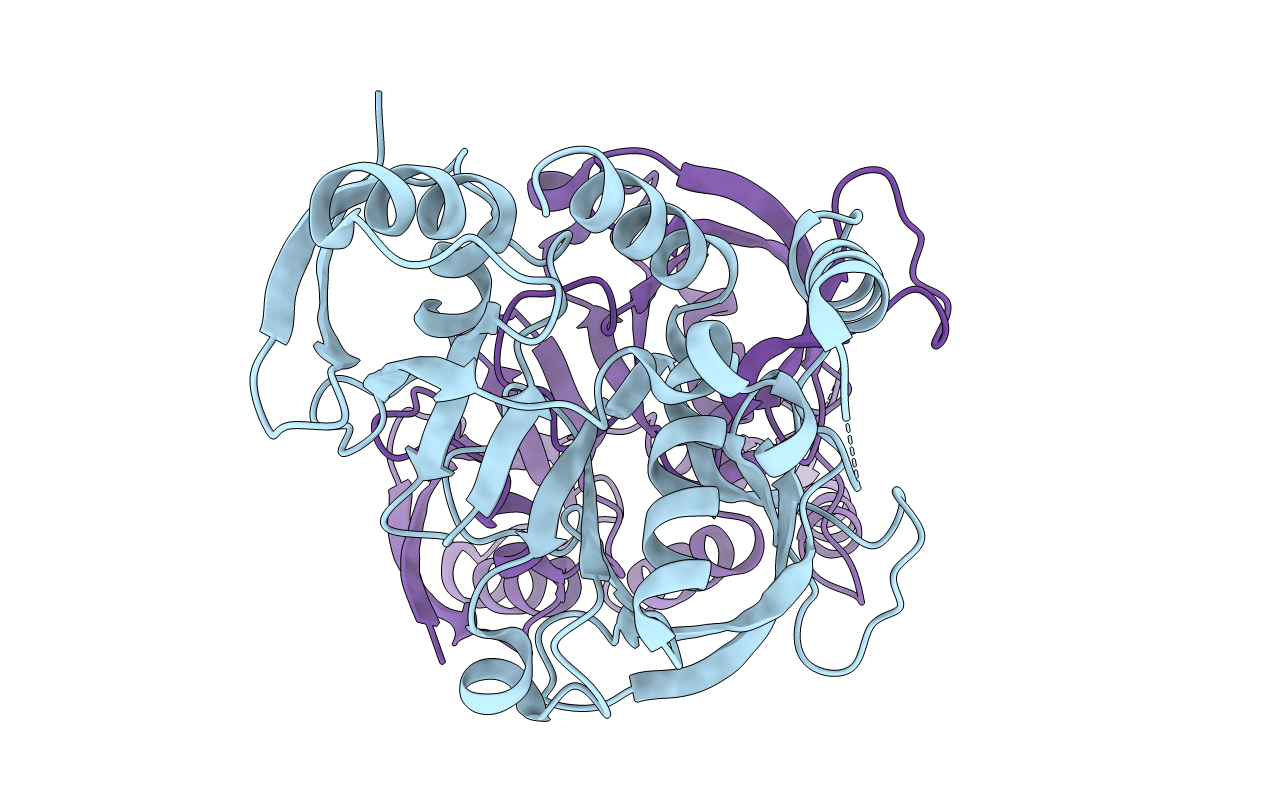 3TCA image