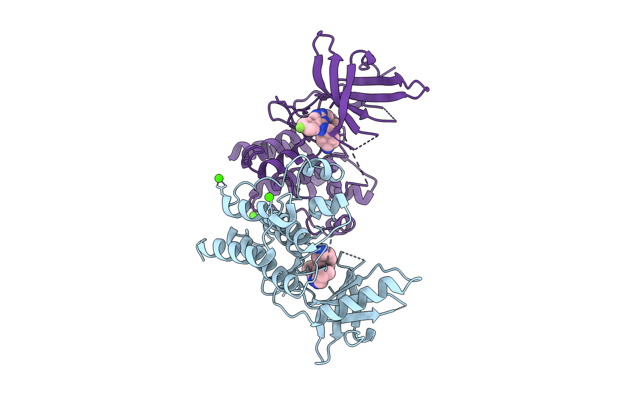 3TCP image