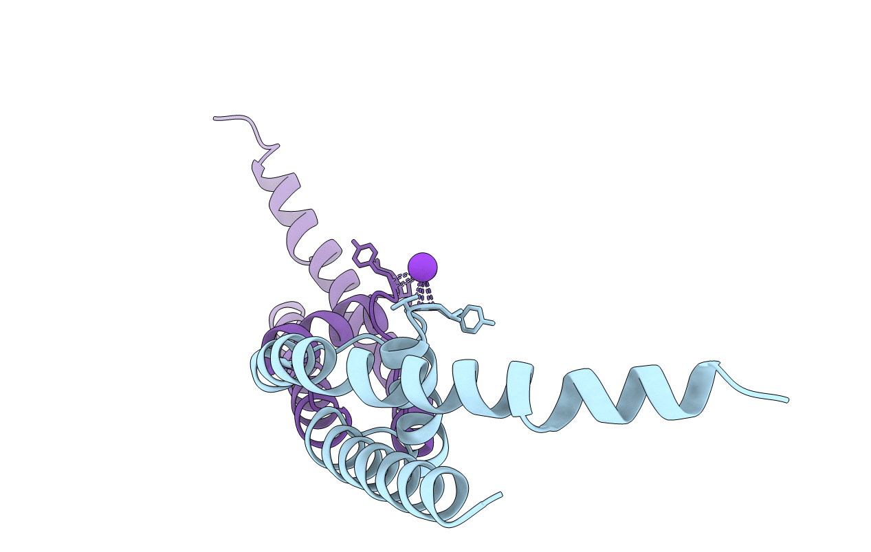 3TCU image