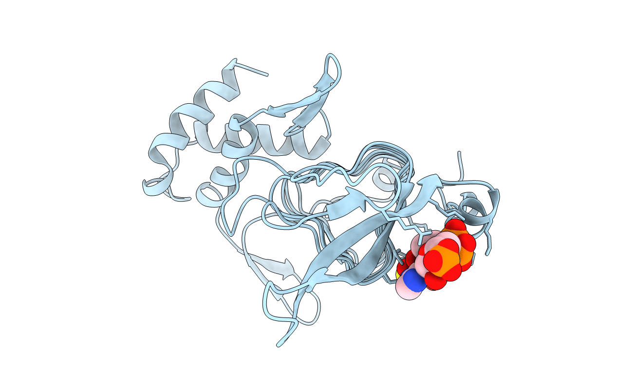 3TDT image