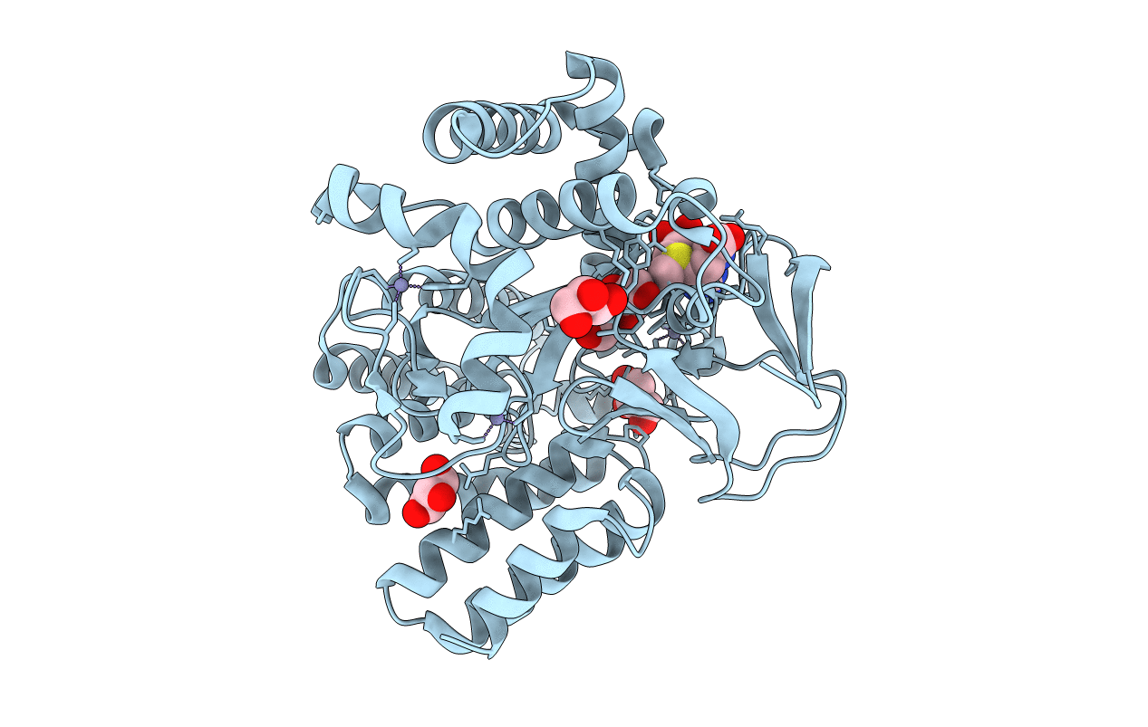 3TG4 image