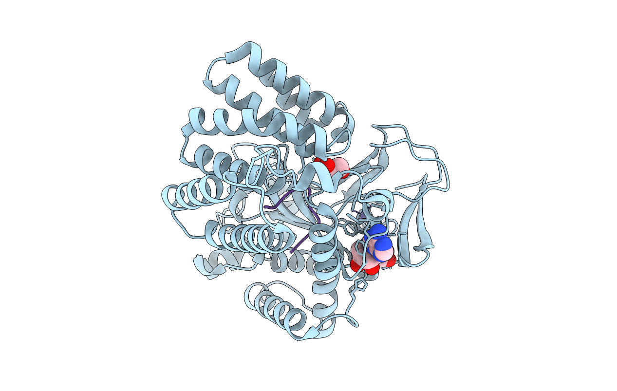 3TG5 image