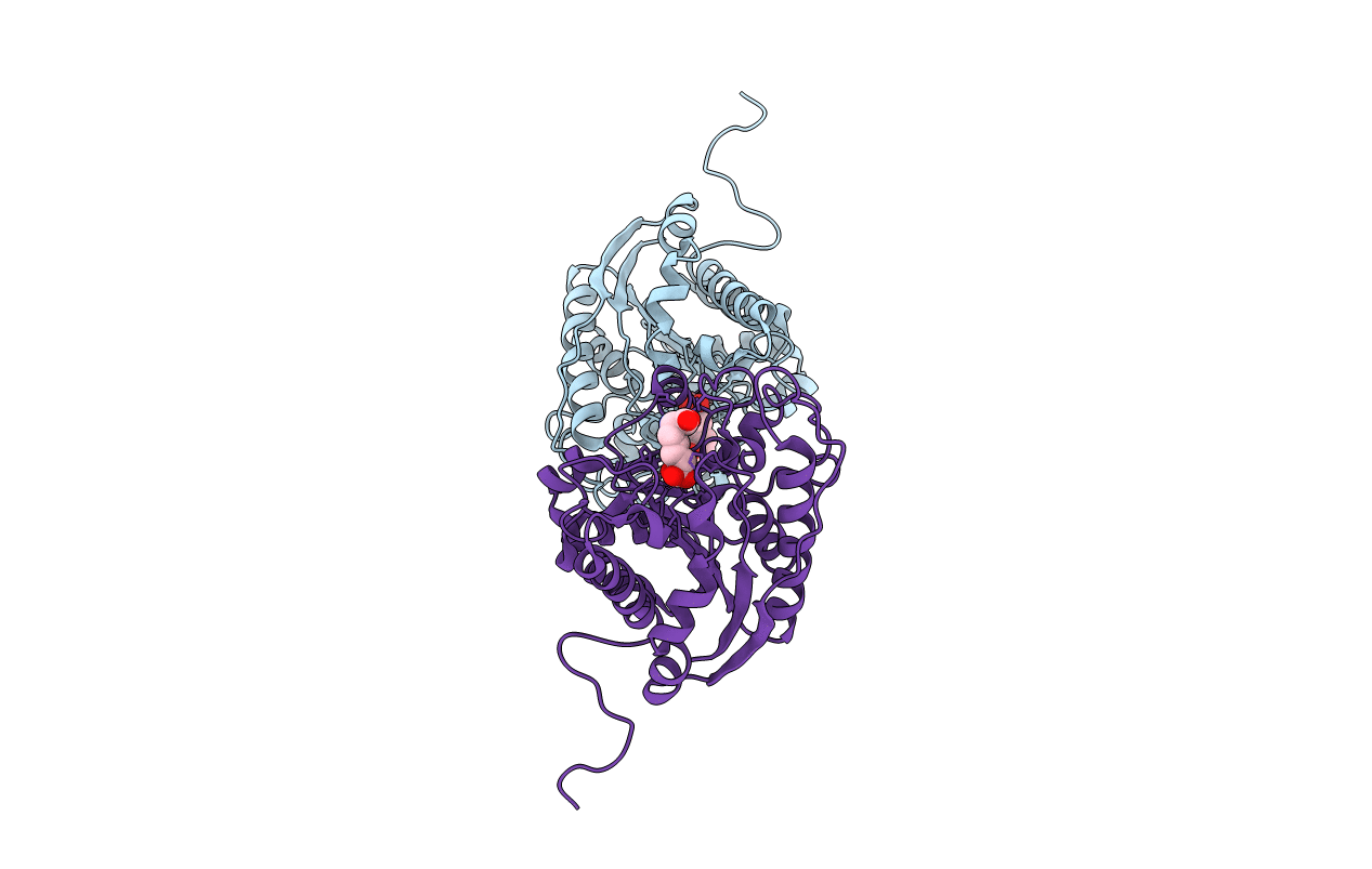3THH image
