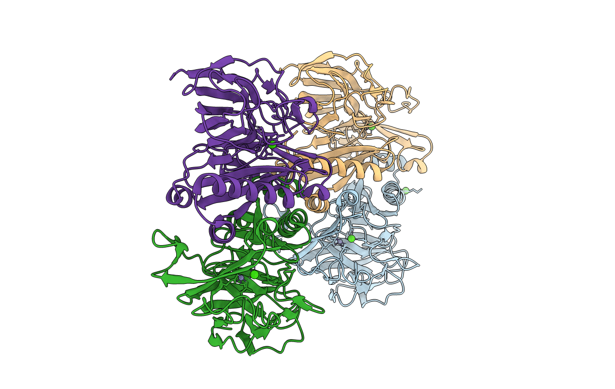 3TKK image