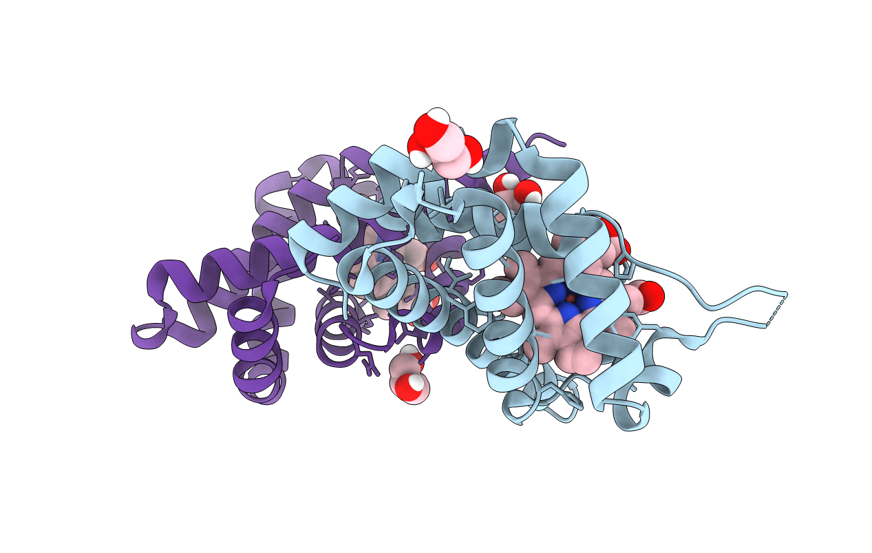 3TLD image
