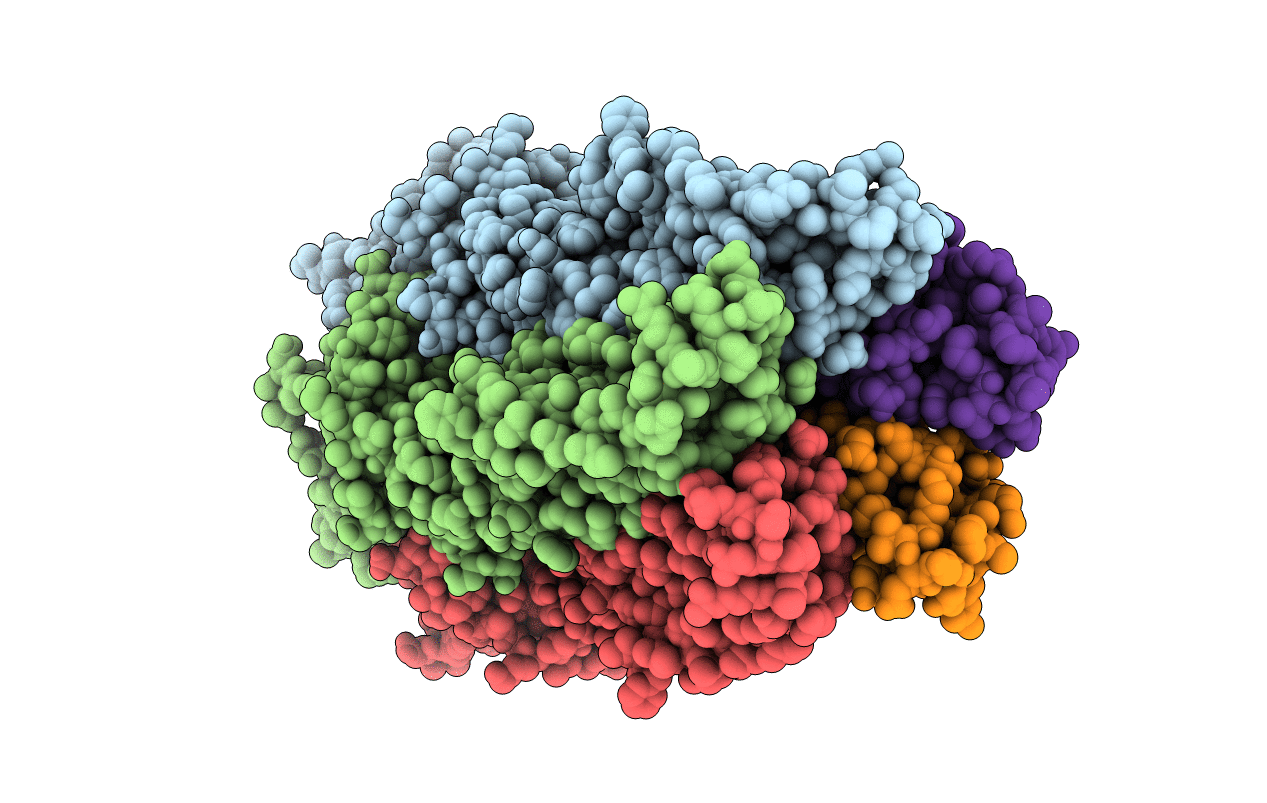 3TLU image