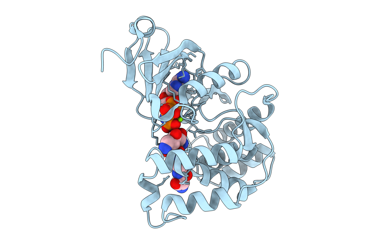 3TM0 image