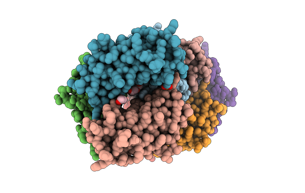 3TM6 image