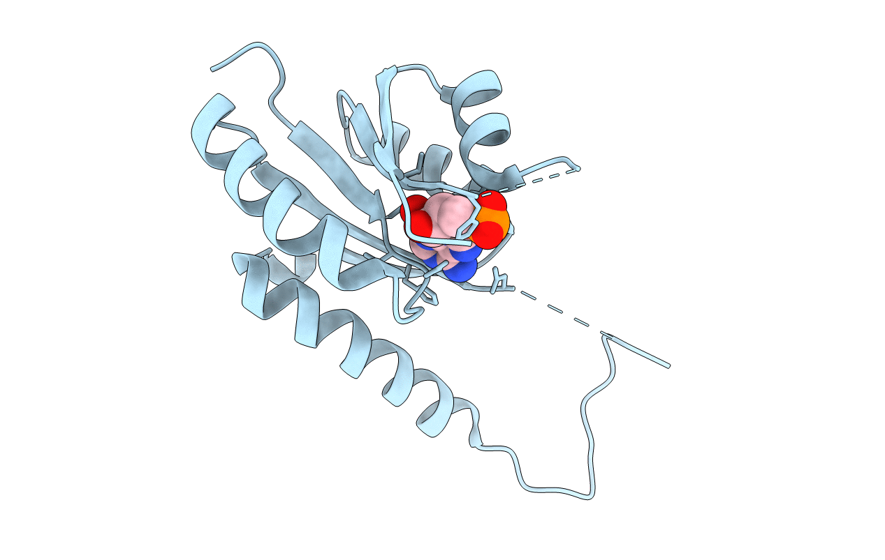 3TNJ image