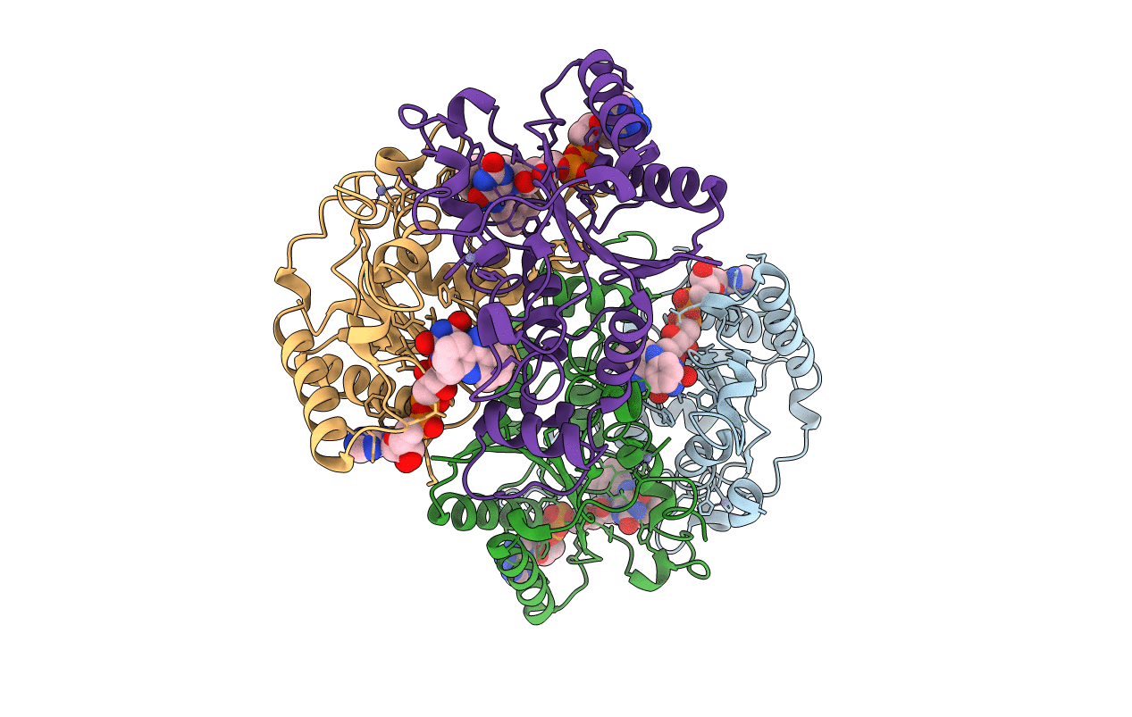 3TZB image