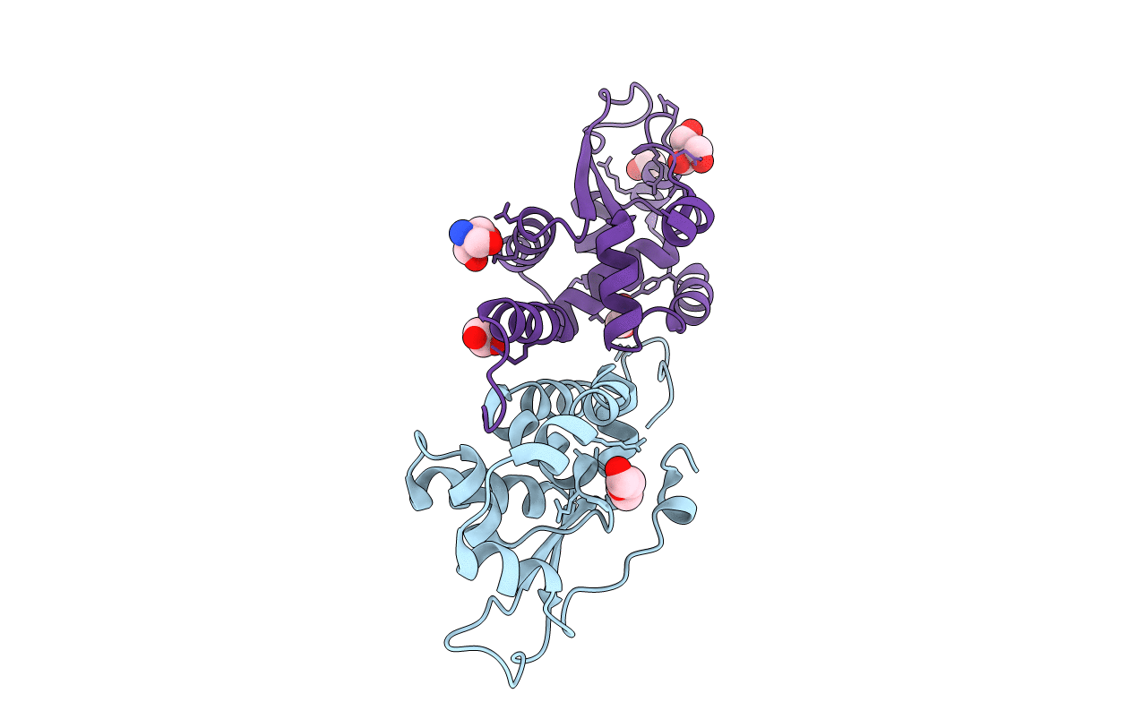 3U1D image