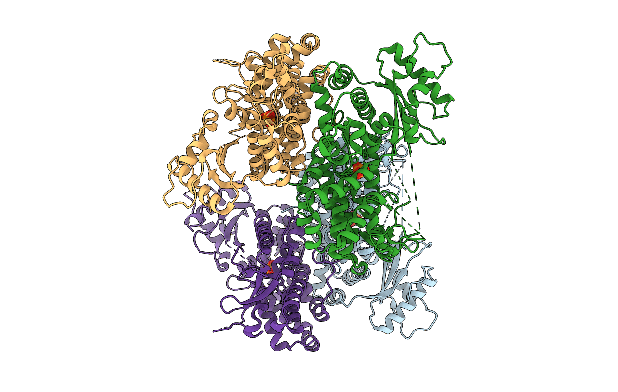 3U1N image
