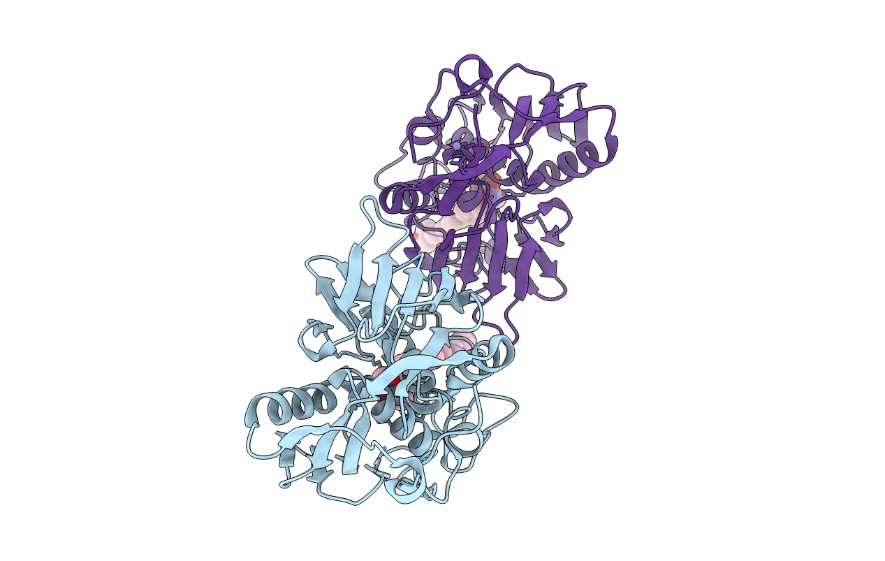3U1Y image